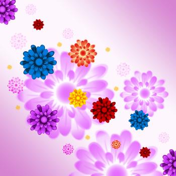 Colorful Flowers Background Means Plants And Gardening