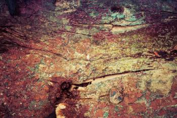 Colorful Grunge Wood Texture