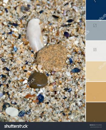 Pebbles Sand Sea Shells On Beach Stock Photo (Royalty Free ...
