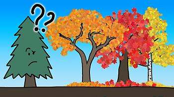 The Real Reason Leaves Change Color In the Fall - YouTube