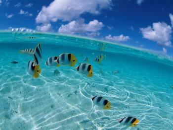The Colors of Nature: Light Blue Water | AmO