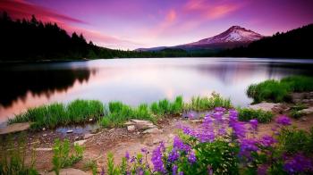 Colors of Nature Wallpaper