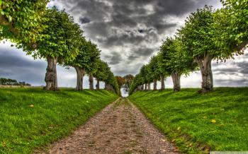Image Of Nature (24)