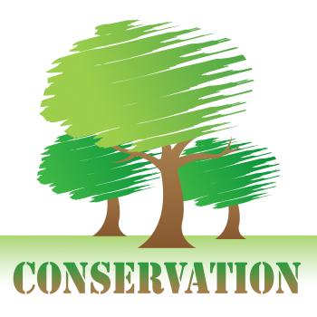Conservation Trees Indicates Go Green And Eco