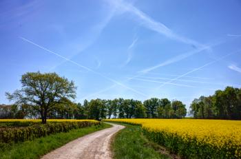 Contrails above Moens, France
