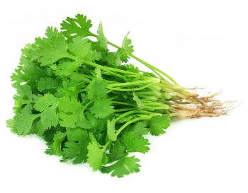 FRESH CORIANDER - Deshi Bazar Australia Pty Ltd