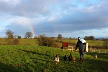 The country life | Journalist On the Run