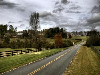 Nature: Country Road, picture nr. 54076