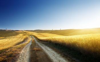 Country Road Inside The Paddy Field | HD Nature Wallpapers for ...