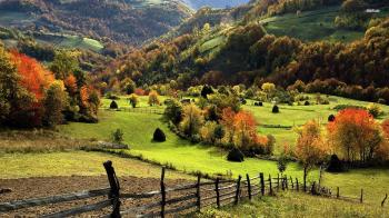 5 Reasons Why Owning a House in the Countryside Is Great