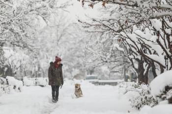 Iranians Prayed for Rain, but Were Covered in Snow - The New York Times