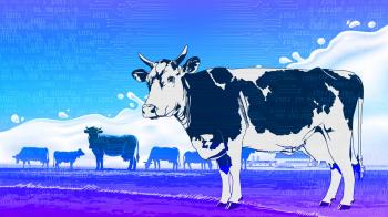Meet India's connected cows as local dairies push to double milk ...