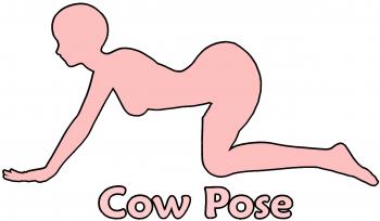 Cow Pose