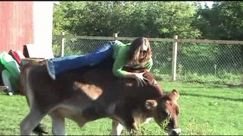Cow riding - YouTube