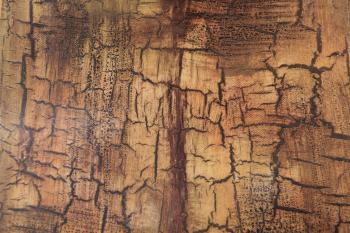 Cracked Grunge Texture paint effect chipped surface tan stain ...