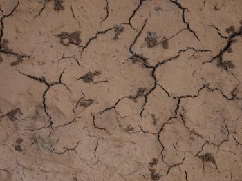 Baked and cracked mud texture II | The NetRender company weblog