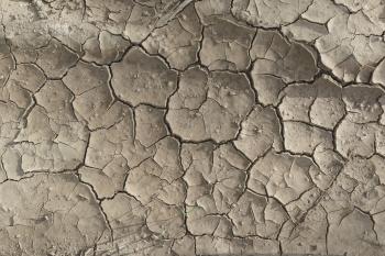 Dried Cracked Mud Texture I