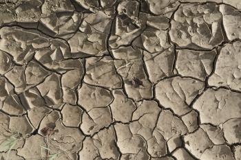 Dried Cracked Mud Texture II