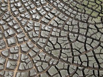 Mudcrack - Wikipedia