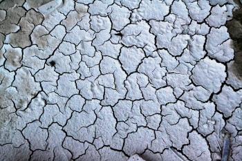 Free Images : grass, rock, black and white, texture, old, soil ...