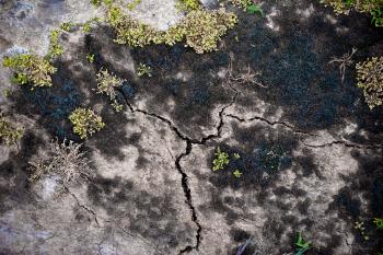 Cracked Soil Surface