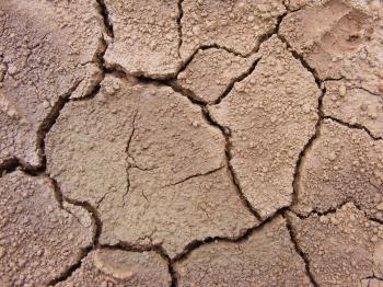 9 Free Textures of Cracked Soil, Dry Grass Soil and Sand | Artfans ...