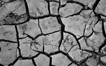 Cracked Surface - WallDevil