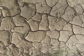 Free cracked textures | Wild Textures