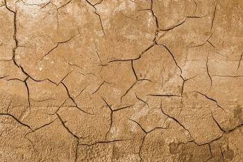 Cracked Wall Decay - Photomanipulated Texture