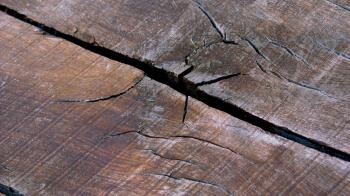 Cracked Wood 417862 - WallDevil