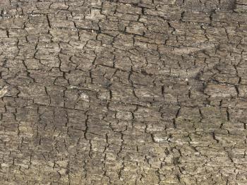 texture cracked wood by agaillard on DeviantArt