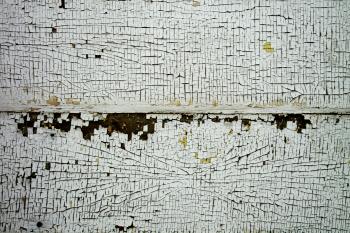 Cracked Wood Texture