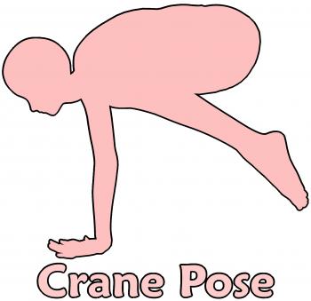 Crane Pose
