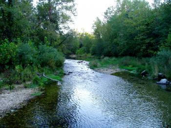Creek Week volunteer Opportunities Still Available – Camel City Dispatch