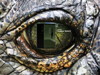 Crocodile Eye