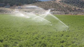 Farm crop sprinkler irrigation fast timelapse. Farm irrigation ...