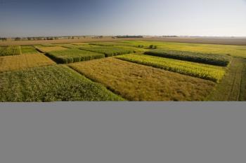 ASU researchers to explore large-scale deployment of biomass energy ...