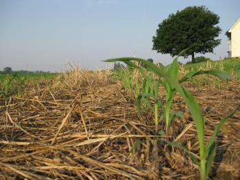 Why Cover Crops? | Plant Cover Crops