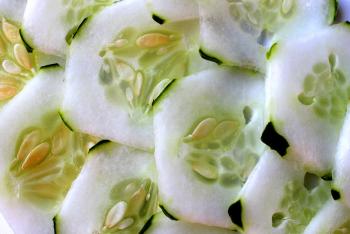 Cucumber - Slices
