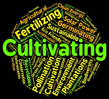 Cultivating Word Represents Grows Sowing And Sow