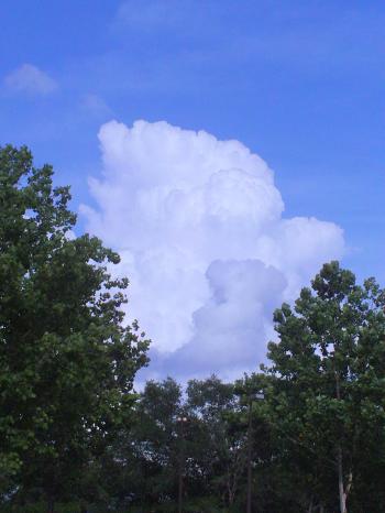 Cumulus Cloud over Orlando