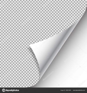 White curled paper corner with shadow — Stock Vector © ovocim.gmail ...