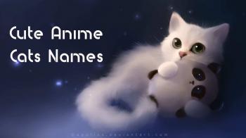 Top 100 Cute Anime Cats Names - Cute Nicknames