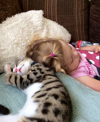 Cuteness Overload cat and little girl sleeping together - JustViral.Net