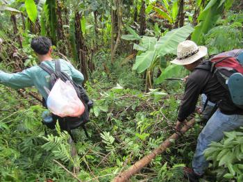 Trek Through The Jungle ~ Places of Tourist in The World