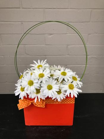 Crazy for Daisy! in Tustin, CA | Zen Gardens Floral