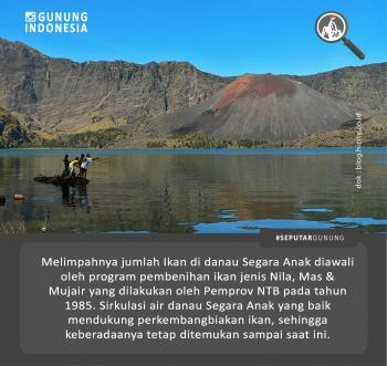 Paket Rinjani - Penyebab Melimpahnya Segara Anak - Porter Gunung ...