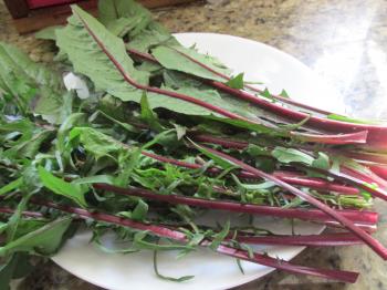 Fermented Dandelion Stems | Bell's Best Berries