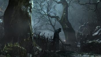 Image - Dark forest 2.jpg | Bloodborne Wiki | FANDOM powered by Wikia