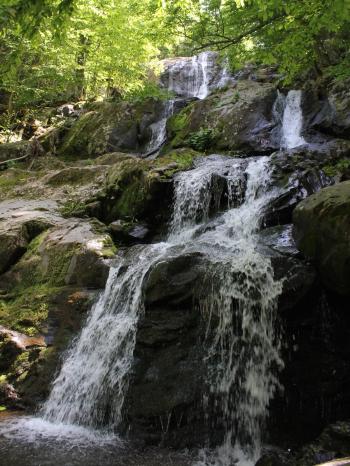 Dark Hollow Falls